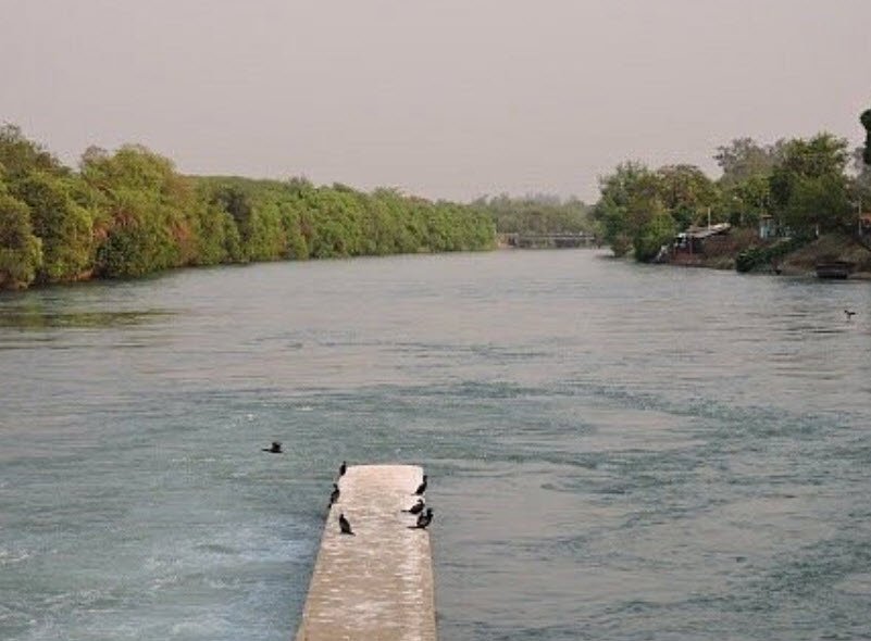Ropar Wetland, Rupnagar, Punjab - Vushii.com Ropar Wetland, Rupnagar, Punjab - Vushii.com